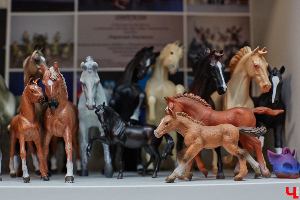 Любовь с первого взгляда. Именно это можно считать причиной появления коллекционных мини-лошадок на полках у Анастасии Лещинской. Собрание продолжает пополняться и сегодня, спустя 14 лет с момента приобретения первой фигурки. О самых редких и любимых статуэтках девушка рассказала «Ключ-Медиа»