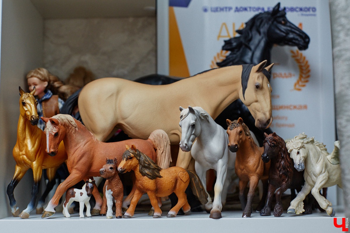 Любовь с первого взгляда. Именно это можно считать причиной появления коллекционных мини-лошадок на полках у Анастасии Лещинской. Собрание продолжает пополняться и сегодня, спустя 14 лет с момента приобретения первой фигурки. О самых редких и любимых статуэтках девушка рассказала «Ключ-Медиа»