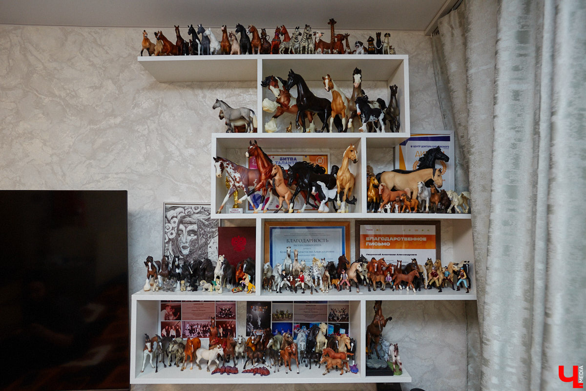 Любовь с первого взгляда. Именно это можно считать причиной появления коллекционных мини-лошадок на полках у Анастасии Лещинской. Собрание продолжает пополняться и сегодня, спустя 14 лет с момента приобретения первой фигурки. О самых редких и любимых статуэтках девушка рассказала «Ключ-Медиа»