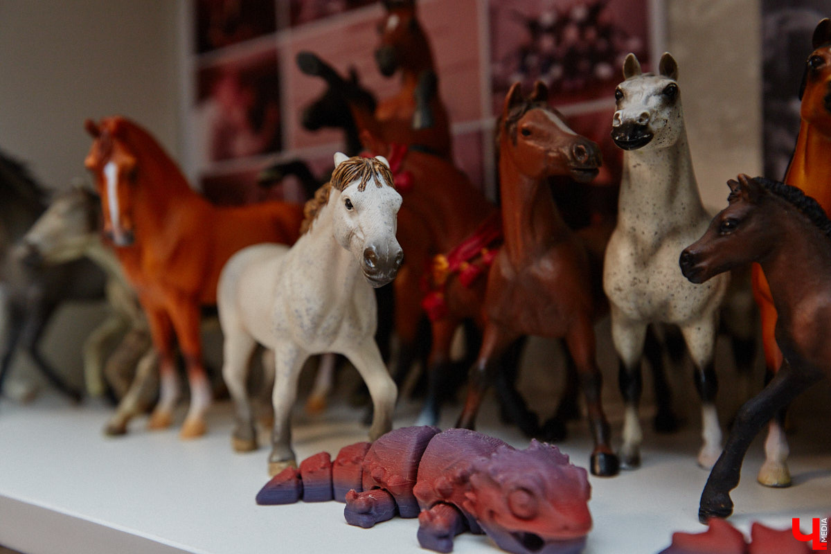 Любовь с первого взгляда. Именно это можно считать причиной появления коллекционных мини-лошадок на полках у Анастасии Лещинской. Собрание продолжает пополняться и сегодня, спустя 14 лет с момента приобретения первой фигурки. О самых редких и любимых статуэтках девушка рассказала «Ключ-Медиа»