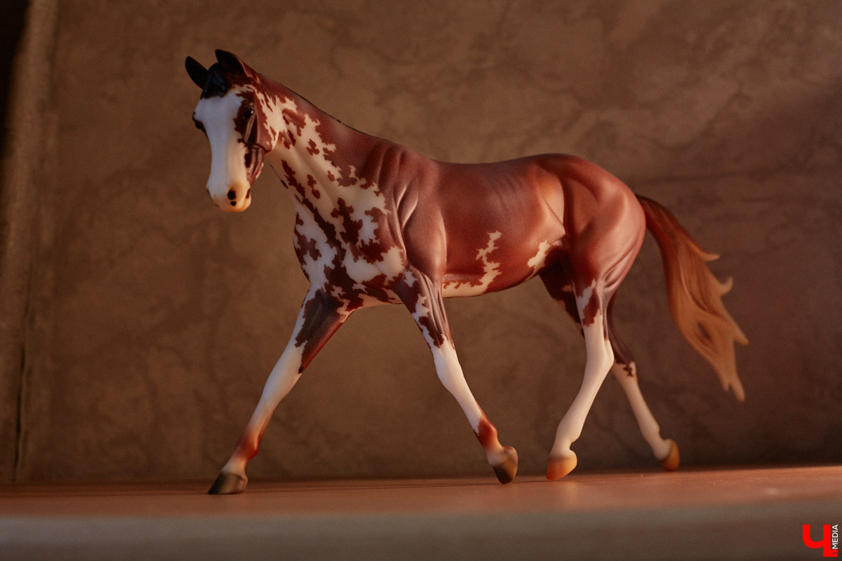 Любовь с первого взгляда. Именно это можно считать причиной появления коллекционных мини-лошадок на полках у Анастасии Лещинской. Собрание продолжает пополняться и сегодня, спустя 14 лет с момента приобретения первой фигурки. О самых редких и любимых статуэтках девушка рассказала «Ключ-Медиа»