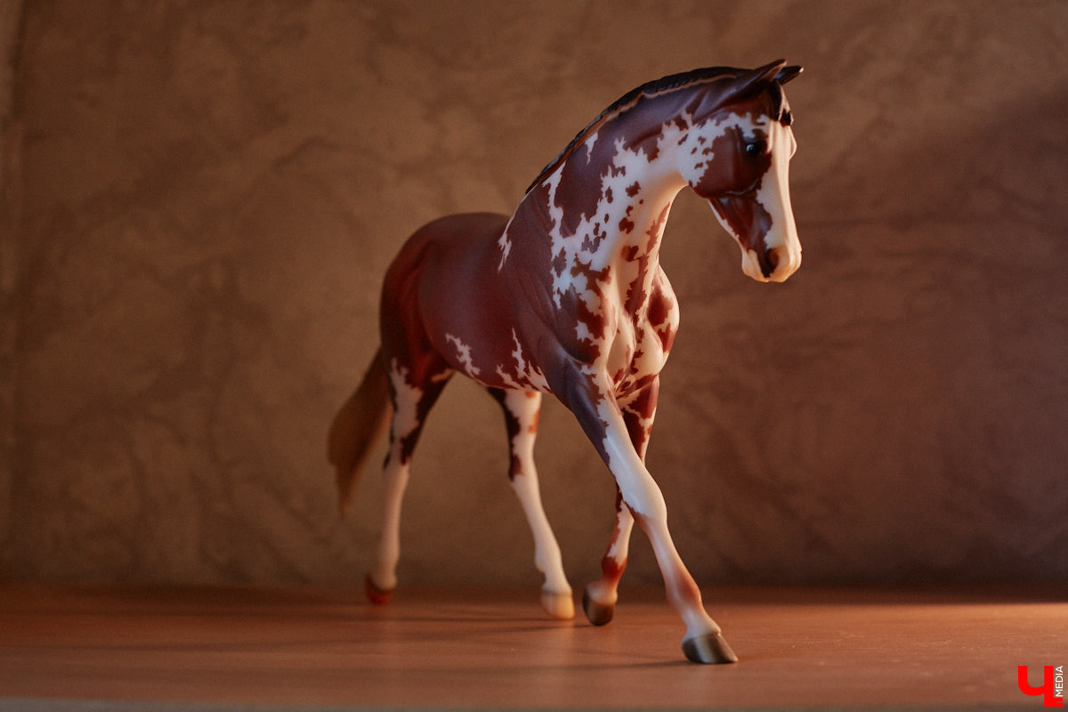 Любовь с первого взгляда. Именно это можно считать причиной появления коллекционных мини-лошадок на полках у Анастасии Лещинской. Собрание продолжает пополняться и сегодня, спустя 14 лет с момента приобретения первой фигурки. О самых редких и любимых статуэтках девушка рассказала «Ключ-Медиа»