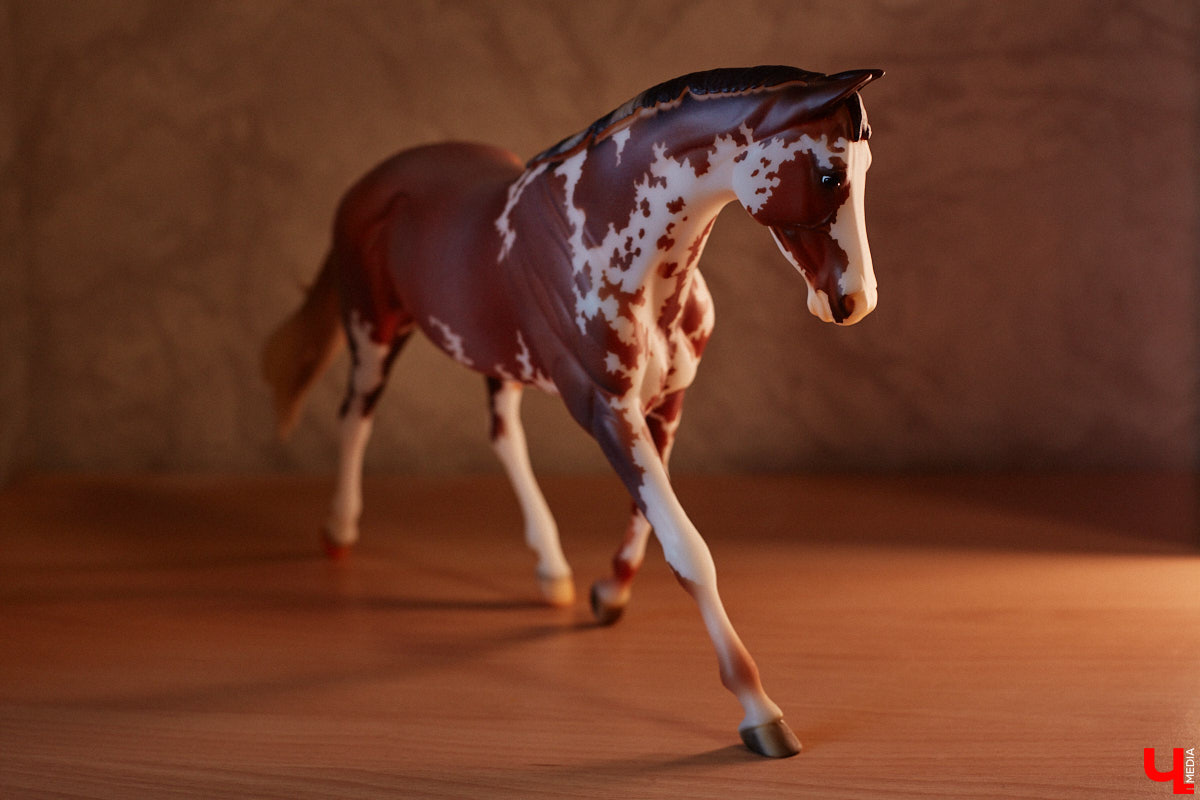 Любовь с первого взгляда. Именно это можно считать причиной появления коллекционных мини-лошадок на полках у Анастасии Лещинской. Собрание продолжает пополняться и сегодня, спустя 14 лет с момента приобретения первой фигурки. О самых редких и любимых статуэтках девушка рассказала «Ключ-Медиа»