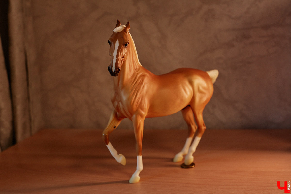 Любовь с первого взгляда. Именно это можно считать причиной появления коллекционных мини-лошадок на полках у Анастасии Лещинской. Собрание продолжает пополняться и сегодня, спустя 14 лет с момента приобретения первой фигурки. О самых редких и любимых статуэтках девушка рассказала «Ключ-Медиа»