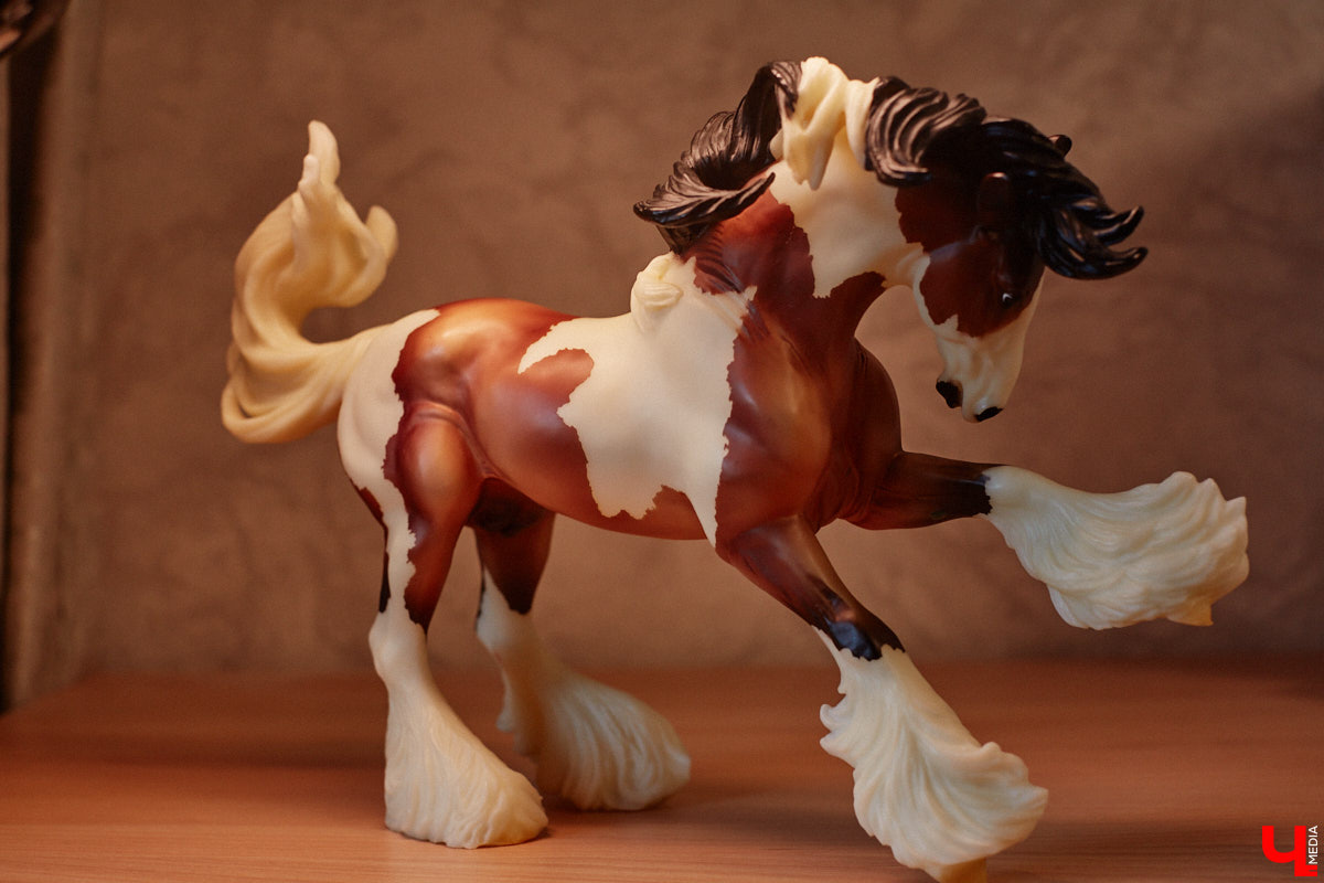 Любовь с первого взгляда. Именно это можно считать причиной появления коллекционных мини-лошадок на полках у Анастасии Лещинской. Собрание продолжает пополняться и сегодня, спустя 14 лет с момента приобретения первой фигурки. О самых редких и любимых статуэтках девушка рассказала «Ключ-Медиа»