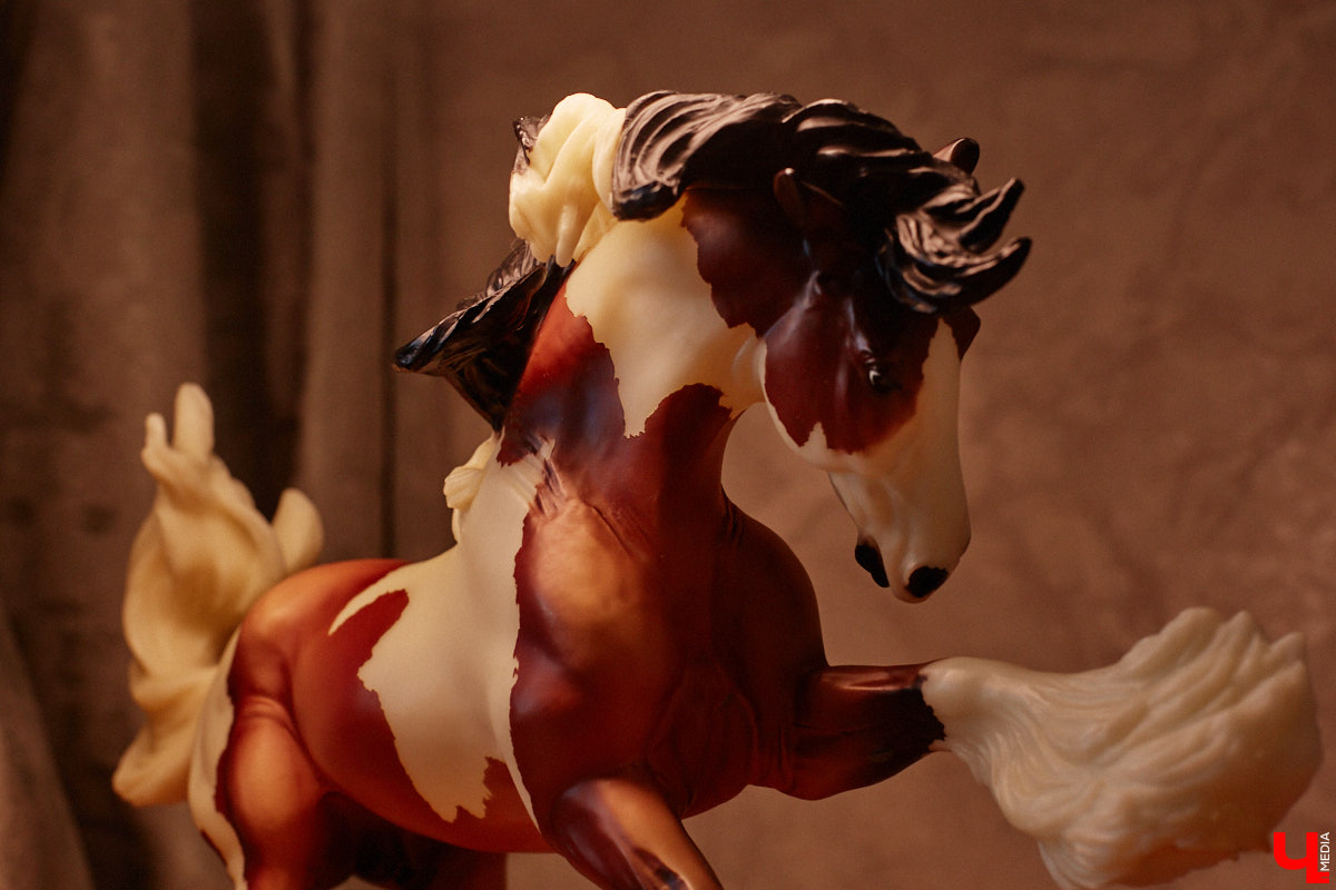 Любовь с первого взгляда. Именно это можно считать причиной появления коллекционных мини-лошадок на полках у Анастасии Лещинской. Собрание продолжает пополняться и сегодня, спустя 14 лет с момента приобретения первой фигурки. О самых редких и любимых статуэтках девушка рассказала «Ключ-Медиа»