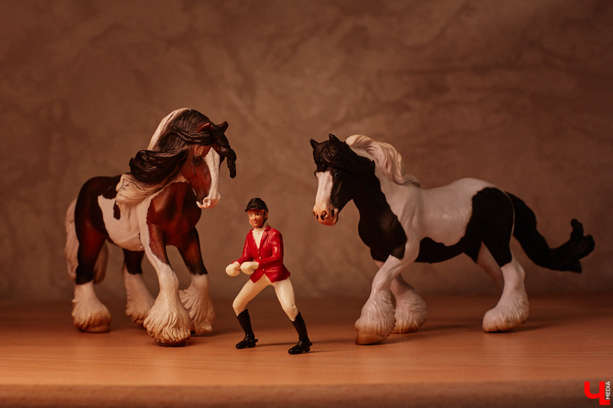 Любовь с первого взгляда. Именно это можно считать причиной появления коллекционных мини-лошадок на полках у Анастасии Лещинской. Собрание продолжает пополняться и сегодня, спустя 14 лет с момента приобретения первой фигурки. О самых редких и любимых статуэтках девушка рассказала «Ключ-Медиа»