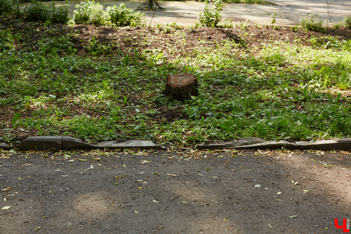 Лето 2025 года подарило Владимиру сразу несколько обновленных общественных локаций. Похорошевший бульвар Художника Иванова стал глотком свежего воздуха для местных жителей. Напротив же Центрального парка не только установили стелу трудовой доблести, но и облагородили территорию вокруг. Насколько комфортными можно назвать эти локации с точки зрения урбанистики и придутся ли они горожанам по нраву? Разобраться помог активист Артем Сыров