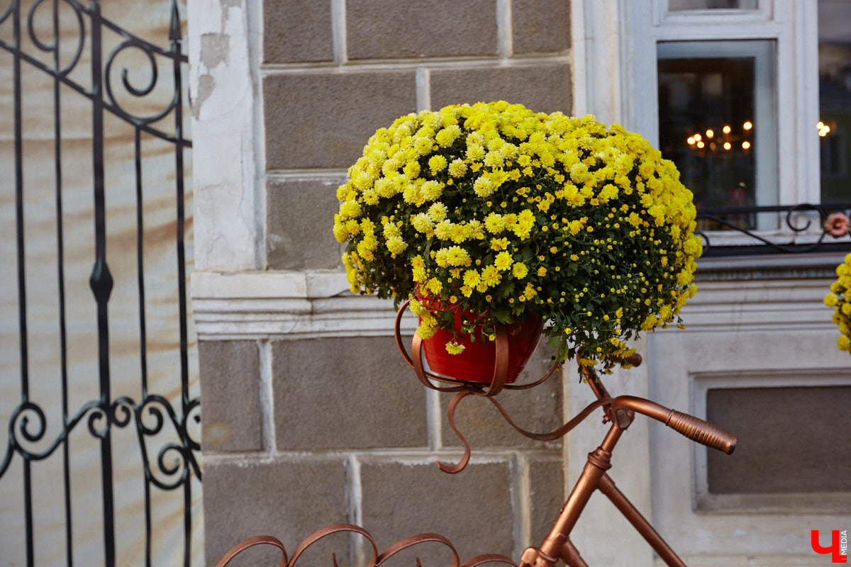 Свершилось! В историческом центре областной столицы стартовал ремонт памятника князю Владимиру. Монумент давно ждал своего часа, и вот наконец сделаны первые шаги к его реставрации. А еще на улицах сразу трех городов региона появились интересные арт-объекты: гусь удачи, русские классики и кашпо на колесах. Что они собой представляют? Рассказываем обо всем по порядку!