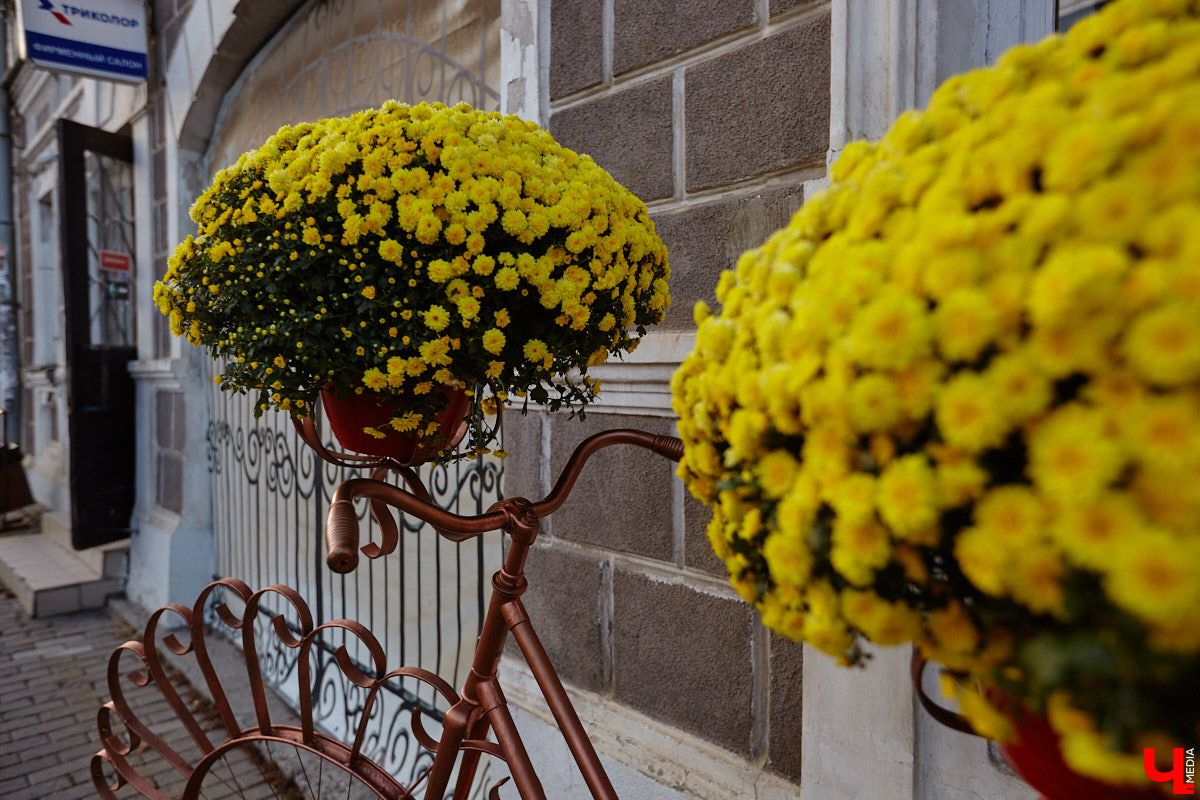 Свершилось! В историческом центре областной столицы стартовал ремонт памятника князю Владимиру. Монумент давно ждал своего часа, и вот наконец сделаны первые шаги к его реставрации. А еще на улицах сразу трех городов региона появились интересные арт-объекты: гусь удачи, русские классики и кашпо на колесах. Что они собой представляют? Рассказываем обо всем по порядку!