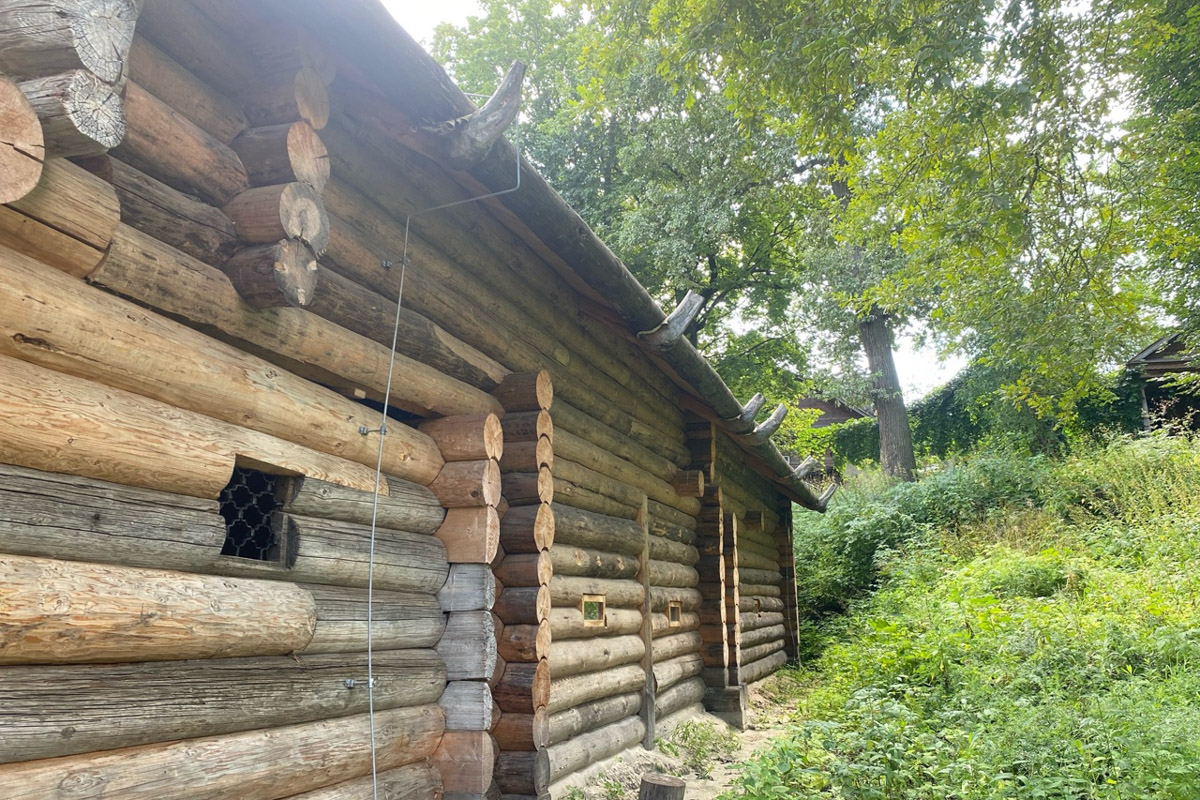 Станок для подковки коня, образцы редкой глухой корабельной резьбы, овины, амбары, мельницы и церкви старого образца. А еще ступальный колодец, который приводили в движение с помощью ног. На территории в 36 гектаров на окраине Нижнего Новгорода раскинулся уникальный музей деревянного зодчества «Щёлоковский хутор». Все его чудеса увидел и «Ключ-Медиа»!