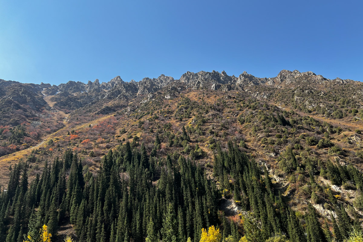 Актриса и режиссер Валерия Емельянова уже давно перестала быть просто «именем на афише», обретя новое дыхание в формате моноспектакля. Ее «Человеческий голос» вновь оценили по заслугам. На юбилейном X международном фестивале «Импульс» в Бишкеке постановка получила сразу две награды. Мы поговорили с Валерией о том, чем этот показ не похож на другие, как играть перед «закрытым» зрителем и что случилось на ретрите у Иссык-Куля.