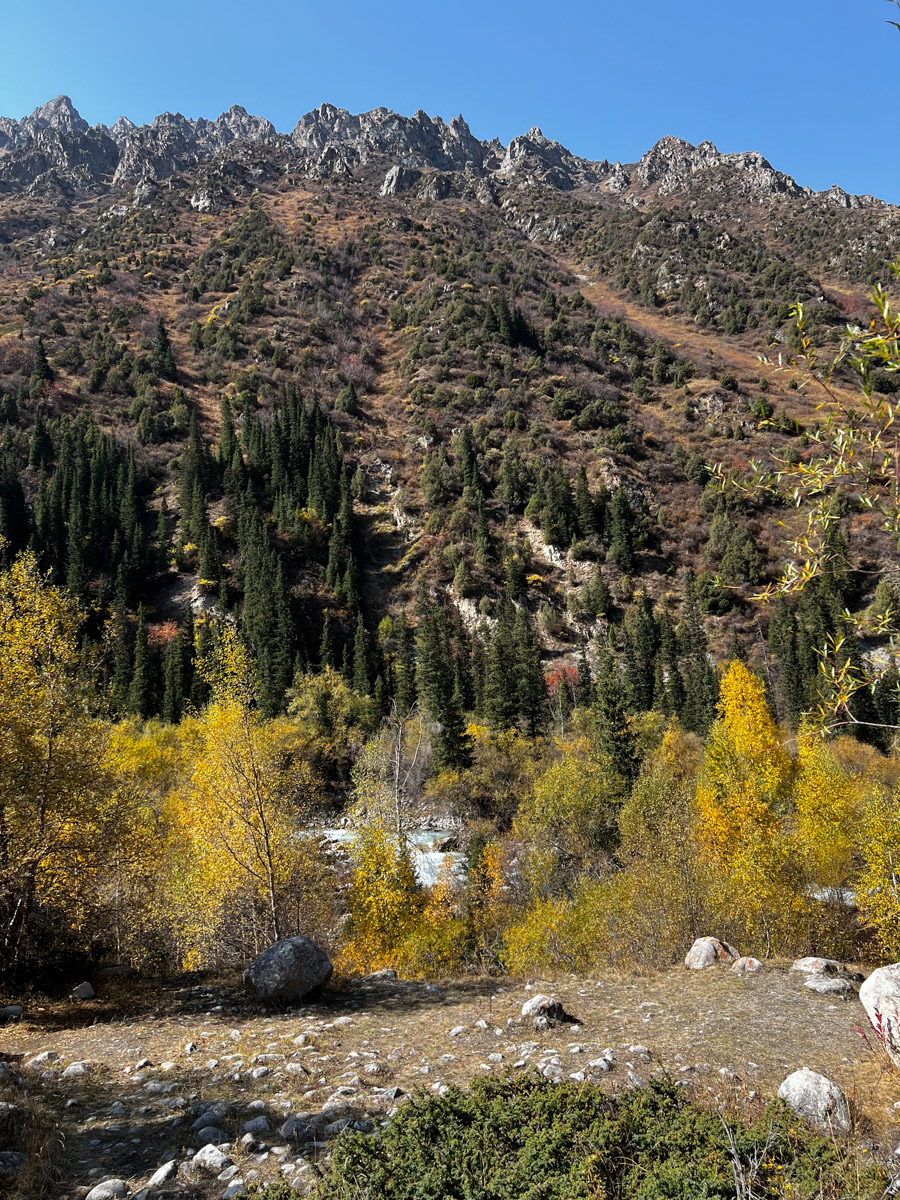 Актриса и режиссер Валерия Емельянова уже давно перестала быть просто «именем на афише», обретя новое дыхание в формате моноспектакля. Ее «Человеческий голос» вновь оценили по заслугам. На юбилейном X международном фестивале «Импульс» в Бишкеке постановка получила сразу две награды. Мы поговорили с Валерией о том, чем этот показ не похож на другие, как играть перед «закрытым» зрителем и что случилось на ретрите у Иссык-Куля.