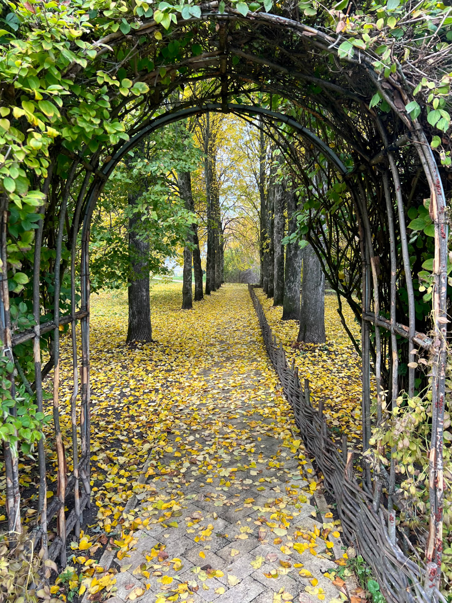 Родина Сергея Есенина — село Константиново — место удивительное и вдохновляющее. Совсем не обязательно быть поклонником поэта, чтобы полюбить этот уголок всей душой. Тем более от Владимира до «страны березового ситца» всего около четырех часов пути. И они того стоят!