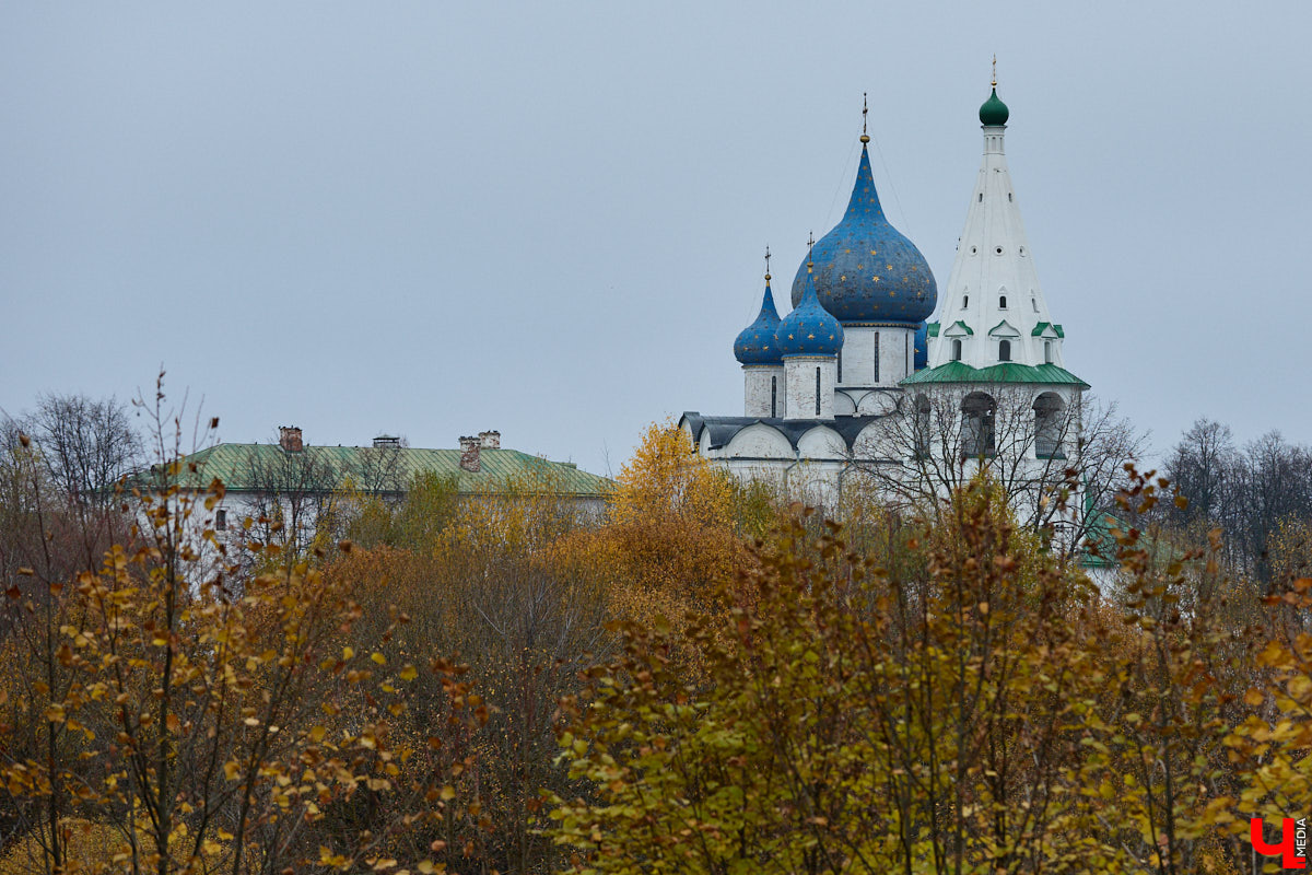 Кого только не принимал радушный Суздаль! На днях список достопочтенных гостей пополнил совершенно удивительный человек. На Владимирскую землю ступил инженер, бизнесмен и отец создателя Tesla, Илона Маска, Эррол Маск. «Ключ-Медиа» не упустил возможности встретиться и пообщаться с легендарной личностью.