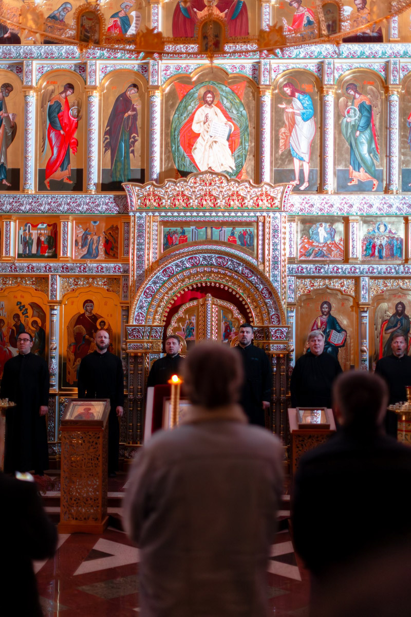 Кого только не принимал радушный Суздаль! На днях список достопочтенных гостей пополнил совершенно удивительный человек. На Владимирскую землю ступил инженер, бизнесмен и отец создателя Tesla, Илона Маска, Эррол Маск. «Ключ-Медиа» не упустил возможности встретиться и пообщаться с легендарной личностью.