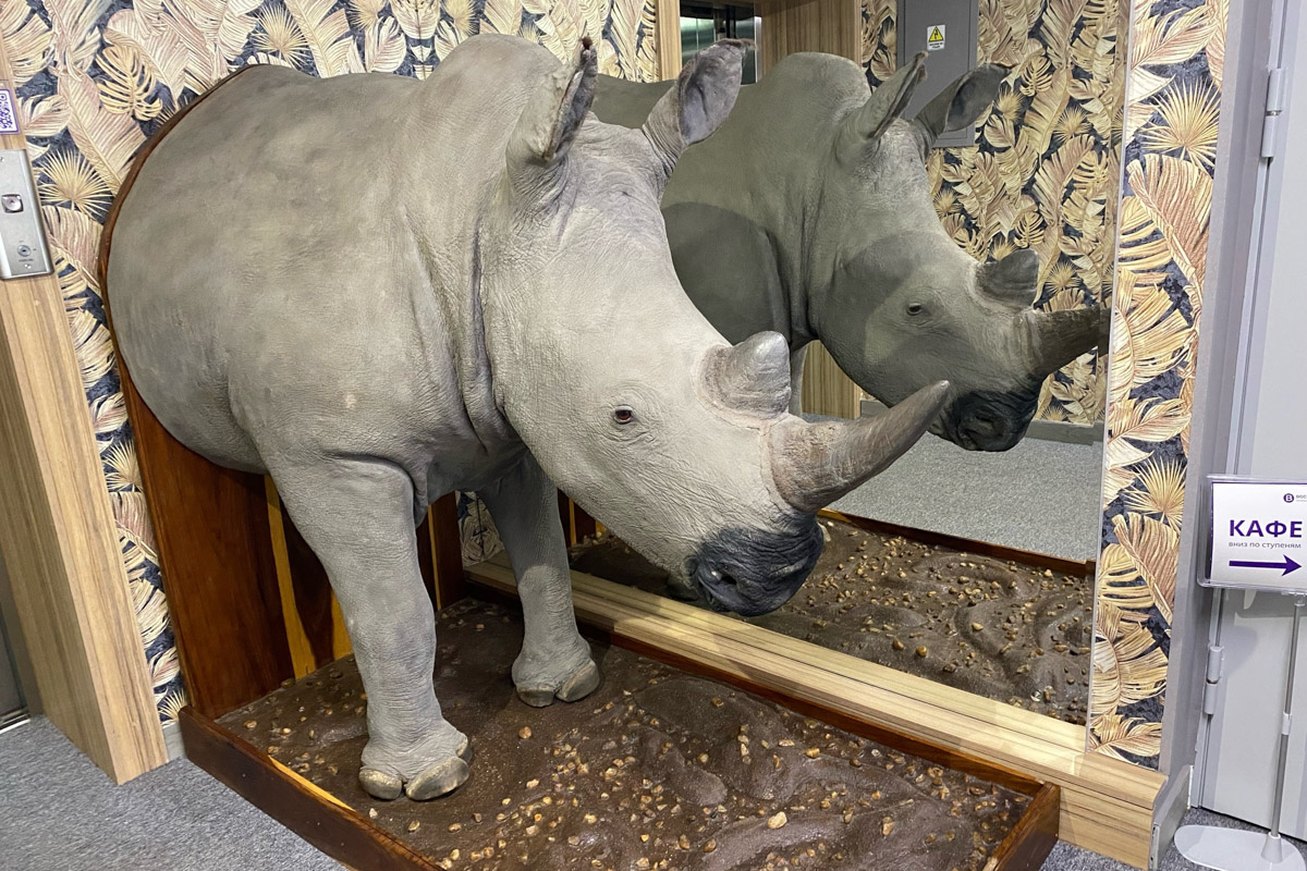 Ярко-желтые цвета, прозрачная прохлада и душевная компания. Осенью путешествия окрашиваются в оттенки легкой меланхолии и пахнут ароматами горячего кофе, который так приятно взять в придорожном кафе. Куда бы поехать? Например, в Коломну! Там, где Дмитрий Донской, нежная яблочная пастила и «медовуша»! А в соседнем Воскресенске можно увидеть марсианский террикон, который неожиданно возникает на абсолютно равнинной местности, превращая ее в нечто космическое. Корреспондент «Ключ-Медиа» увидела все это своими глазами!