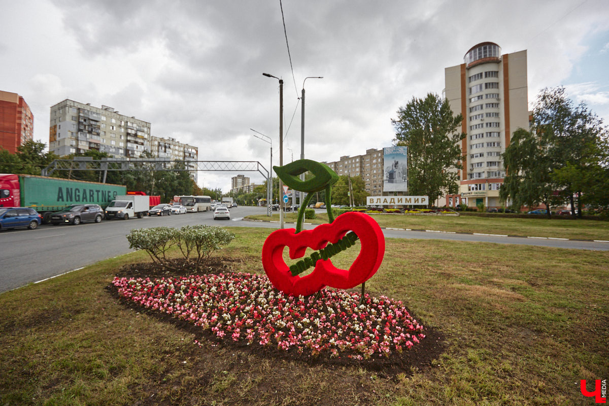 Городские садовники, не теряя времени даром, строят планы по облагораживанию улиц и скверов Владимира на весенне-летний сезон. Особое внимание уделят четырем въездам в столицу региона, воплотят в жизнь «зеленый» проект на разворотном кольце на стыке Безыменского и Комиссарова, а также прислушаются к пожеланиями жителей, жаждущих новых деревьев взамен вырубленных на Усти-на-Лабе.