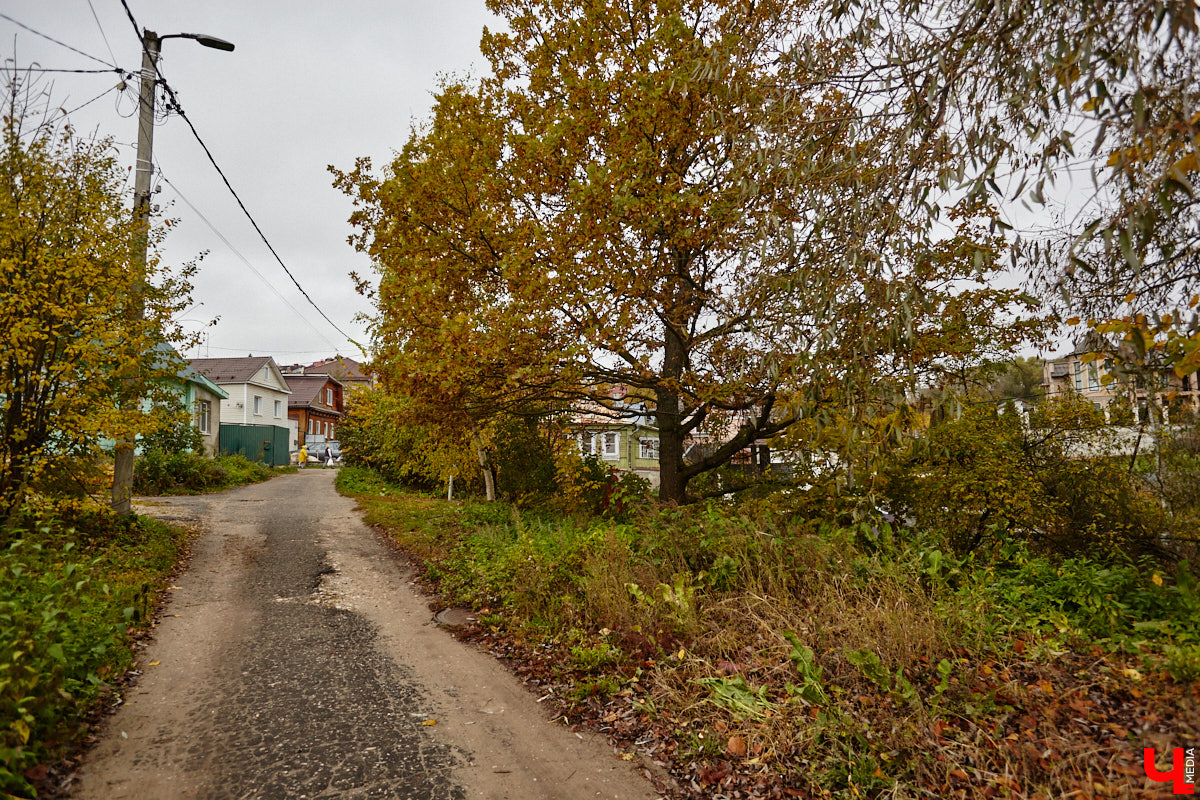 Октябрь в этом году порадовал. Истинная середина осени: дождей в меру, а температура чуть выше стандартов. Но будет ли таким же покладистым ноябрь? Судя по прогнозу, нет, хотя в коллаборацию с зимой месяц вступать пока не торопится.