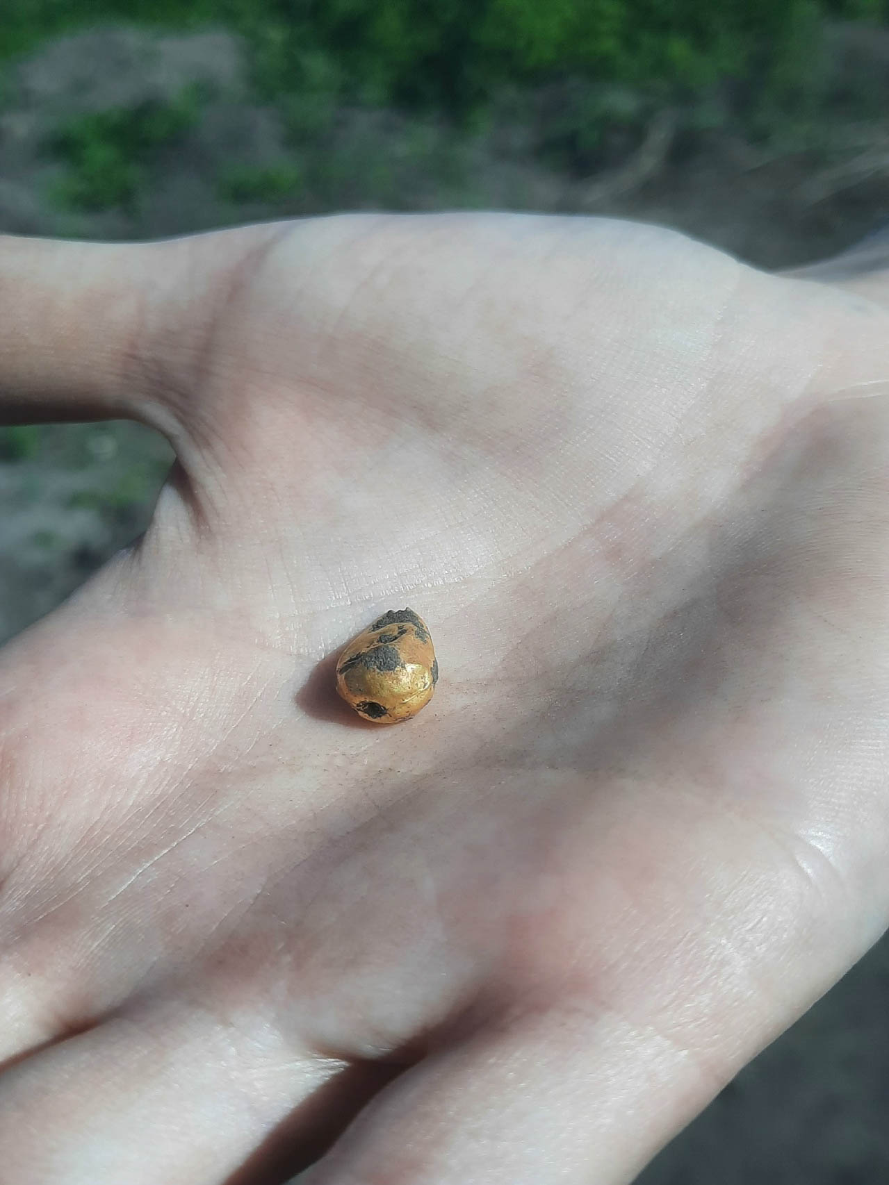 Муром является одним из эпицентров археологических раскопок. Там продолжили исследование территории Окского парка, с которой, собственно, и начал развиваться город. Изыскания, стартовавшие еще в 1939 году, продолжаются локально и в наши дни. За это время специалисты обнаружили на глубине немало важных артефактов. Щедрым на находки оказался и полевой сезон 2025 года.