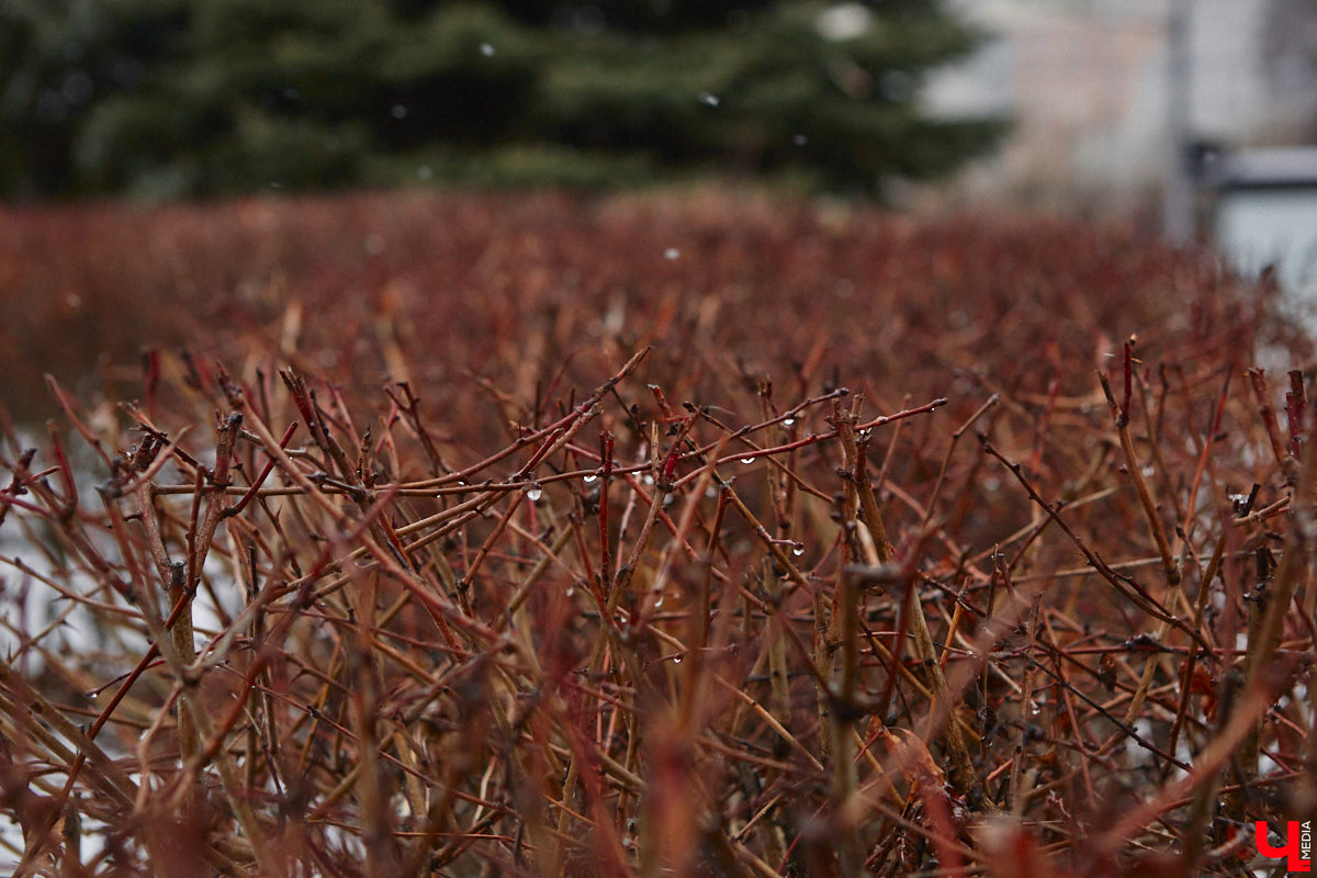 Погодная ситуация в последний осенний месяц богата на парадоксы. Прогнозы пестрят сообщениями об аномальном тепле, при этом синоптики ждут снега и гололедицы уже вот-вот. Разбираемся, чем же намерена удивлять нас текущая семидневка.