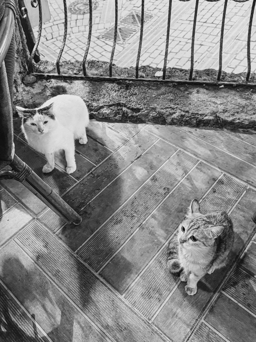 Одной из самых известных туристических точек на карте Турции, без сомнений, является Анталья! Все местные пляжи усеяны многоэтажными отелями, но за ними скрывается совсем иная сторона города. О ней «Ключ-Медиа» рассказала фотограф из Владимира Дарья Воронкова, которая отправилась в страну курортов с мужем далеко не греться под солнцем!