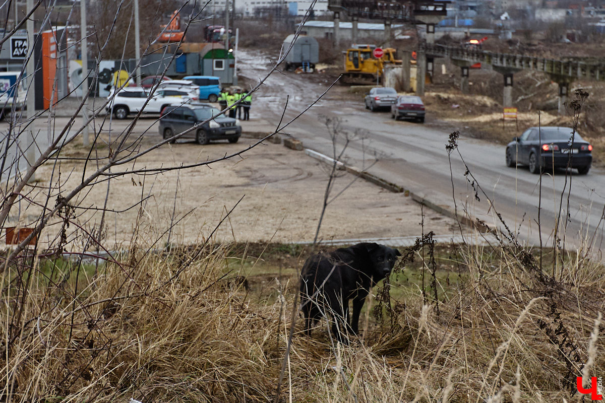 Во Владимире началось строительство новой дорожной артерии, которая соединит улицы Гастелло и Куйбышева. Стоимость участка длиной 600 метров оценена в 266 миллионов рублей. Завершить работы планируют к сентябрю 2026 года, ну а пока «Ключ-Медиа» оценил будущую развязку на старте ее сооружения.