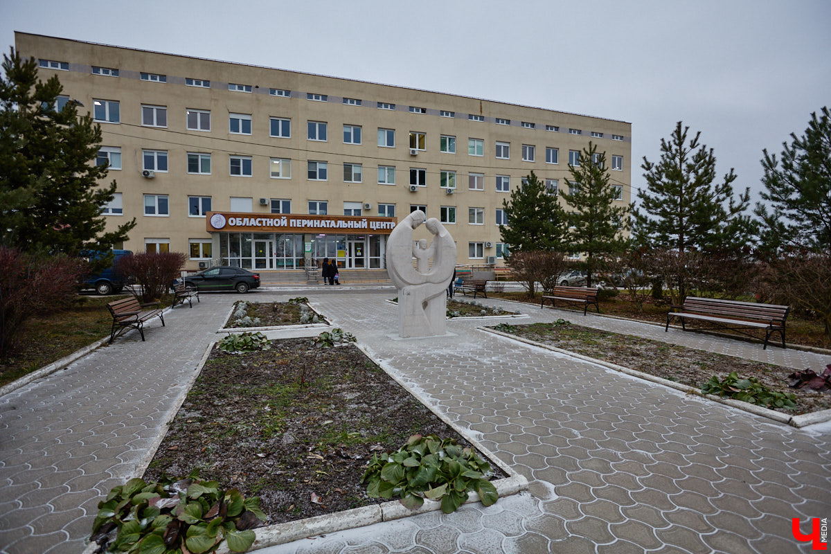 Летом 2025-го Владимир решили вновь превратить в белокаменную столицу. Десять скульпторов в течение месяца творили под палящим солнцем на площадке возле колеса обозрения, явив на свет каждый по одному изваянию. Спустя полгода в городе наконец установили первые четыре работы мастеров по камню. «Ключ-Медиа» узнал, где они расположены и какие еще монументы откроют до конца года.