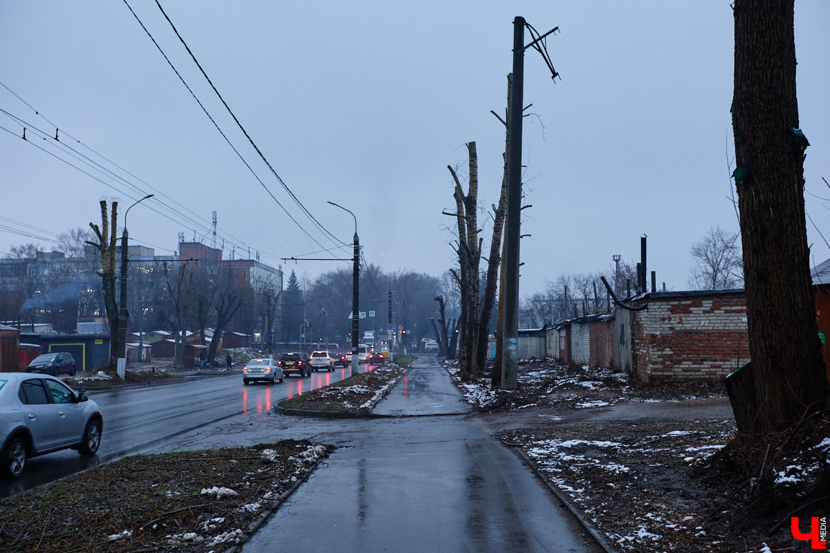 Во         ;Владимире продолжается массовая обрезка и         ;даже вырубка деревьев. Вдоль центральных дорог         ;— голые стволы и         ;пеньки. Спиливают ивы, тополя, клены и         ;липы. Можно         ;ли было их         ;не         ;трогать и         ;как правильно формировать крону? «Ключ-Медиа» прогулялся по         ;проспекту Ленина с         ;экспертом и         ;задал самые важные вопросы специалисту.