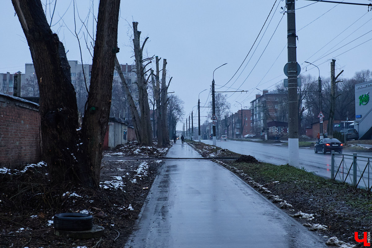 Во         ;Владимире продолжается массовая обрезка и         ;даже вырубка деревьев. Вдоль центральных дорог         ;— голые стволы и         ;пеньки. Спиливают ивы, тополя, клены и         ;липы. Можно         ;ли было их         ;не         ;трогать и         ;как правильно формировать крону? «Ключ-Медиа» прогулялся по         ;проспекту Ленина с         ;экспертом и         ;задал самые важные вопросы специалисту.