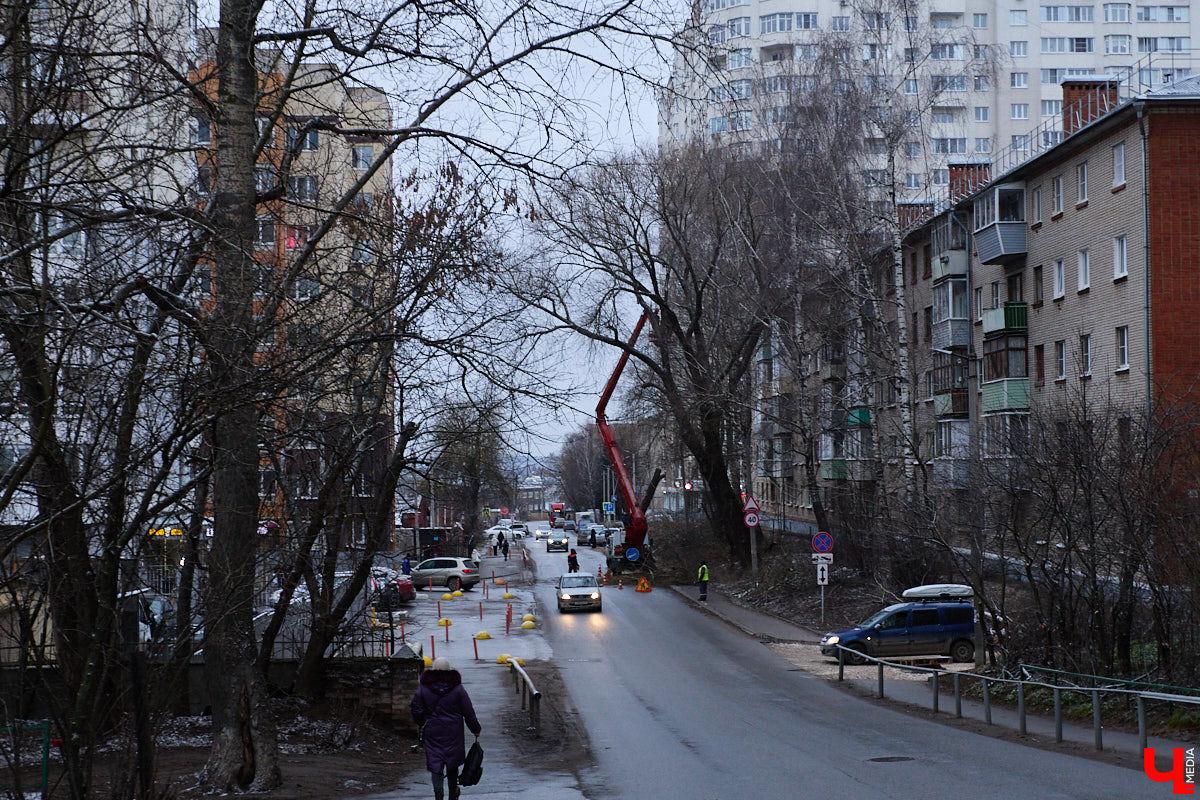 Во         ;Владимире продолжается массовая обрезка и         ;даже вырубка деревьев. Вдоль центральных дорог         ;— голые стволы и         ;пеньки. Спиливают ивы, тополя, клены и         ;липы. Можно         ;ли было их         ;не         ;трогать и         ;как правильно формировать крону? «Ключ-Медиа» прогулялся по         ;проспекту Ленина с         ;экспертом и         ;задал самые важные вопросы специалисту.