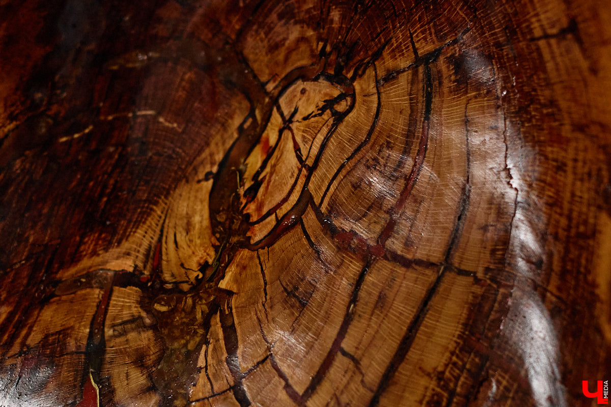 Мастер по дереву Николай Лавданский переехал в Киржачский район более 10 лет назад. Там он построил дом, завел хозяйство и продолжил заниматься творчеством, вдохновляясь единением с природой. По его 16 гектарам, населенным зверюшками, постоянно гуляют туристы. «Ключ-Медиа» удалось осмотреть не только угодья, но и жилище скульптора.