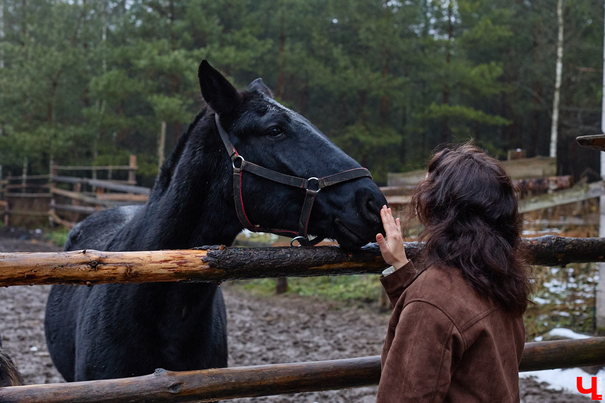 Мастер по дереву Николай Лавданский переехал в Киржачский район более 10 лет назад. Там он построил дом, завел хозяйство и продолжил заниматься творчеством, вдохновляясь единением с природой. По его 16 гектарам, населенным зверюшками, постоянно гуляют туристы. «Ключ-Медиа» удалось осмотреть не только угодья, но и жилище скульптора.