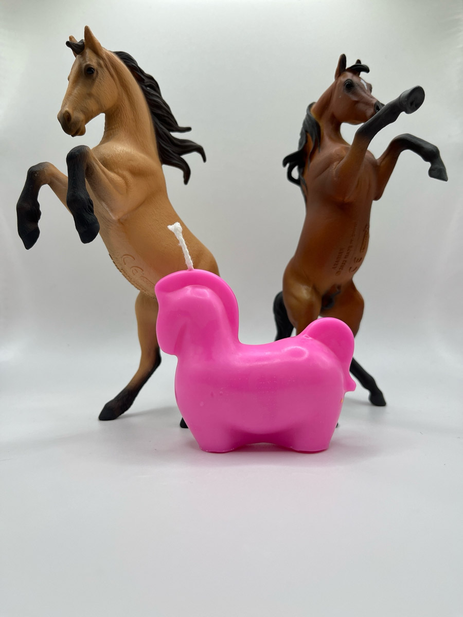 По восточному календарю 2026-й пройдет под покровительством Огненной Лошади: харизматичной, вдохновляющей и неудержимой. Не потому ли владимирцы, дабы задобрить символ года, вовсю украшают свои дома конями всех мастей? Есть варианты из керамики, гипса, стекла, воска или медового теста. А некоторые экземпляры созданы своими руками. О них и поговорим.