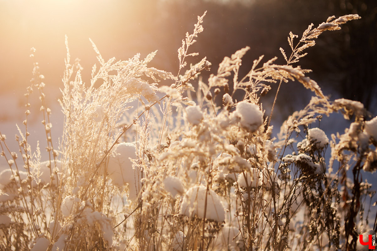 Увы, погода созданию новогодней атмосферы способствовать не желает. Снег, ранее покрывший землю, заметно поредел по вине оттепели. Но на этом сюрпризы конца декабря не заканчиваются: нас снова ожидает метеорологическая карусель. С 23-го числа регион окажется в лапах январского мороза, правда, ненадолго.