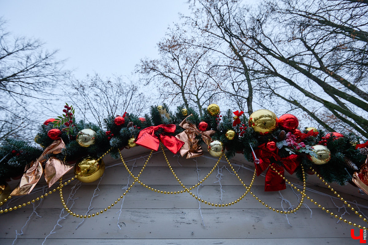 Раз, два, три, ёлочка, гори! Дождались. Главное новогоднее дерево Владимира не без проблем и проволочек, но наконец-то зажглось. На Соборной площади установили светомузыкальную конструкцию с огромным сияющим шатром. Какими еще новинками радует столица 33-го региона накануне зимних торжеств?