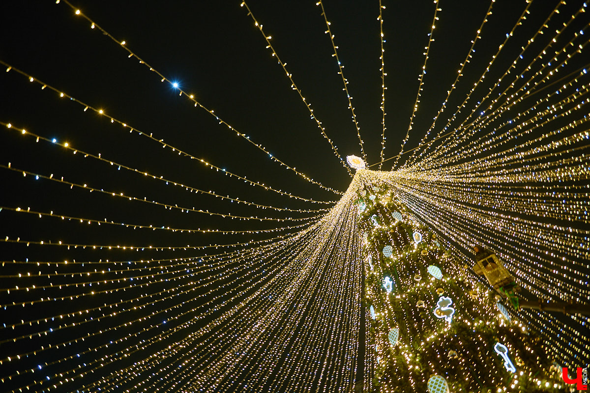 Раз, два, три, ёлочка, гори! Дождались. Главное новогоднее дерево Владимира не без проблем и проволочек, но наконец-то зажглось. На Соборной площади установили светомузыкальную конструкцию с огромным сияющим шатром. Какими еще новинками радует столица 33-го региона накануне зимних торжеств?