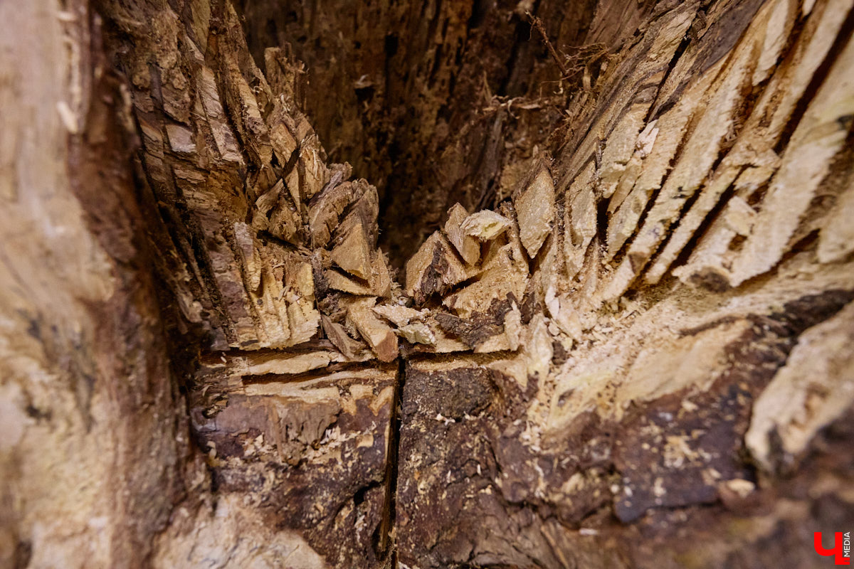 На реке Каменке в городе-музее может появиться разводной мост из экологичного материала. Неделю назад местные мастера продемонстрировали модель потенциального перехода в масштабе 1:2. «Ключ-Медиа» побывал в гостях у деревообработчиков из Суздальского района и оценил уникальную конструкцию.