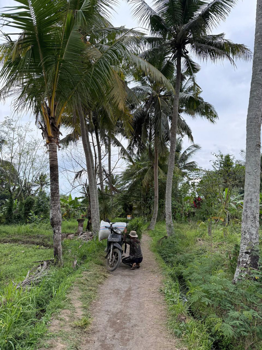 В последнее время организовывать путешествия за границу стало сложнее. Но и в этих условиях остаются возможности спланировать необычный тур за приемлемые деньги. Жительница Владимира Полина Чистова занимается этим уже 17 лет: с семьей она объездила более 30 стран. О своем любопытном опыте наша героиня рассказала «Ключ-Медиа».