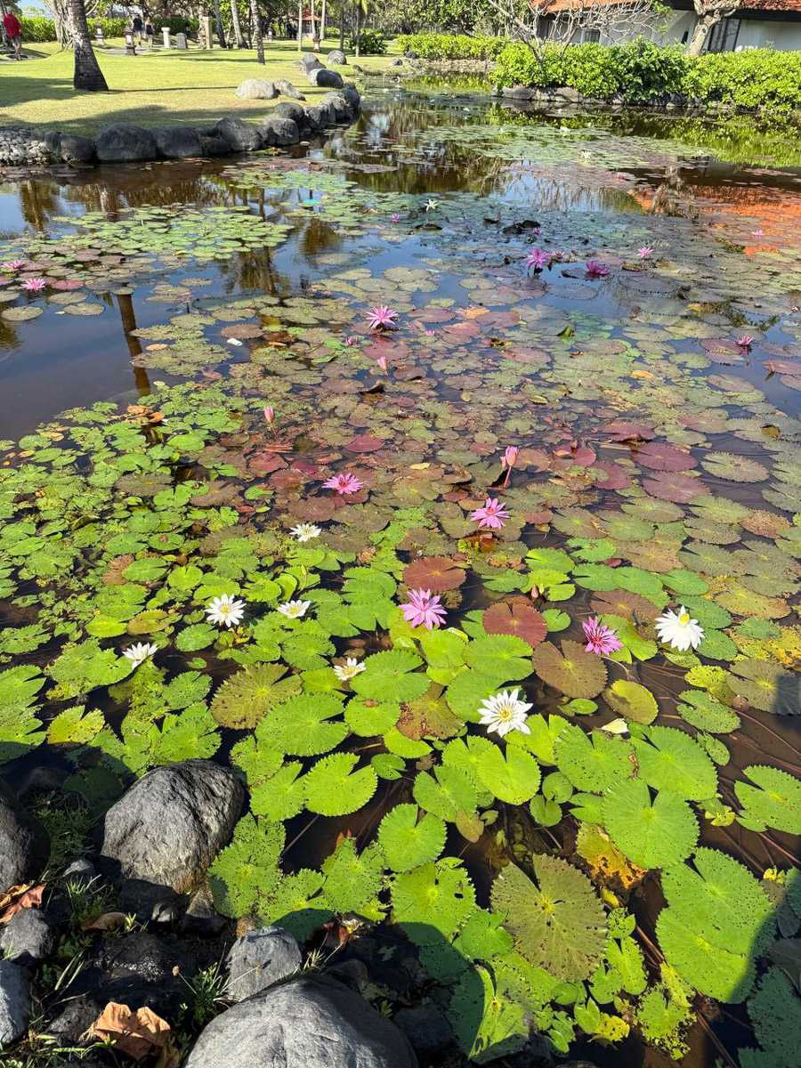 В последнее время организовывать путешествия за границу стало сложнее. Но и в этих условиях остаются возможности спланировать необычный тур за приемлемые деньги. Жительница Владимира Полина Чистова занимается этим уже 17 лет: с семьей она объездила более 30 стран. О своем любопытном опыте наша героиня рассказала «Ключ-Медиа».