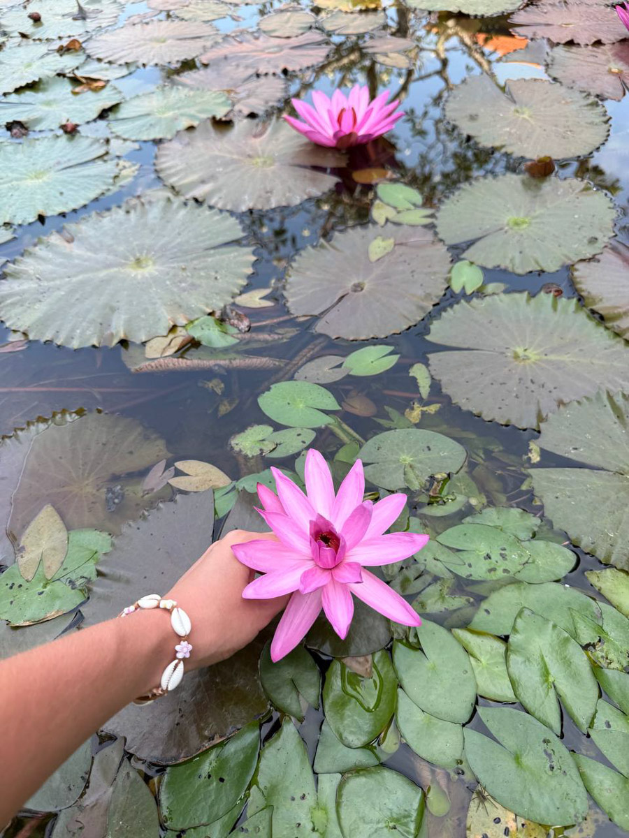 В последнее время организовывать путешествия за границу стало сложнее. Но и в этих условиях остаются возможности спланировать необычный тур за приемлемые деньги. Жительница Владимира Полина Чистова занимается этим уже 17 лет: с семьей она объездила более 30 стран. О своем любопытном опыте наша героиня рассказала «Ключ-Медиа».