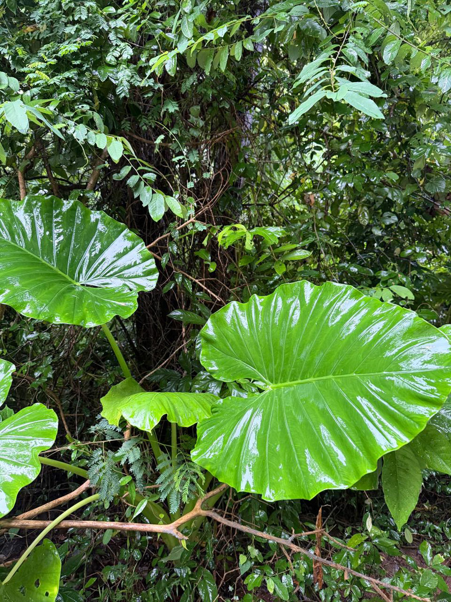 В последнее время организовывать путешествия за границу стало сложнее. Но и в этих условиях остаются возможности спланировать необычный тур за приемлемые деньги. Жительница Владимира Полина Чистова занимается этим уже 17 лет: с семьей она объездила более 30 стран. О своем любопытном опыте наша героиня рассказала «Ключ-Медиа».