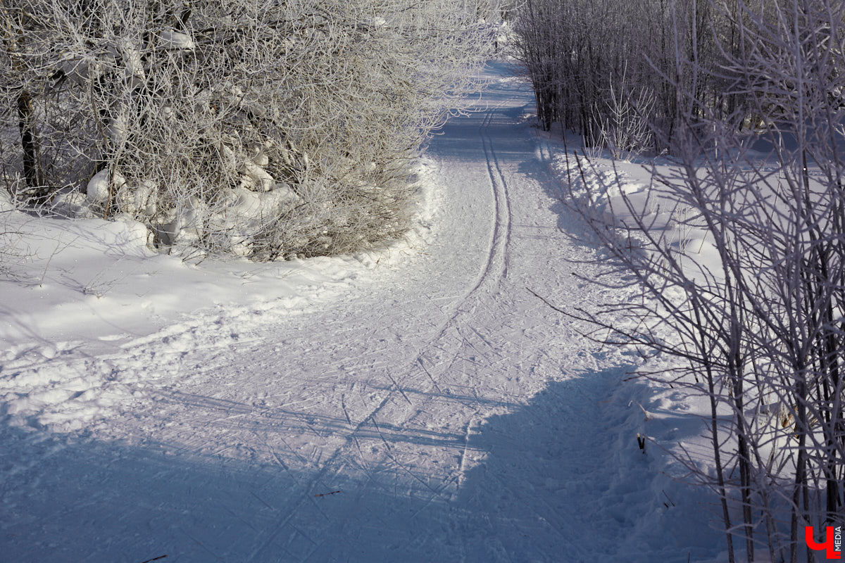 Год новый, а заботы всё те же. Многие наверняка уже задаются вопросом, чего ждать от погоды в первом месяце 2026-го. В прошлом сезоне зима умело маскировалась под осень. Неужели сейчас январь готов всё переиграть и наградить нас морозцем?
