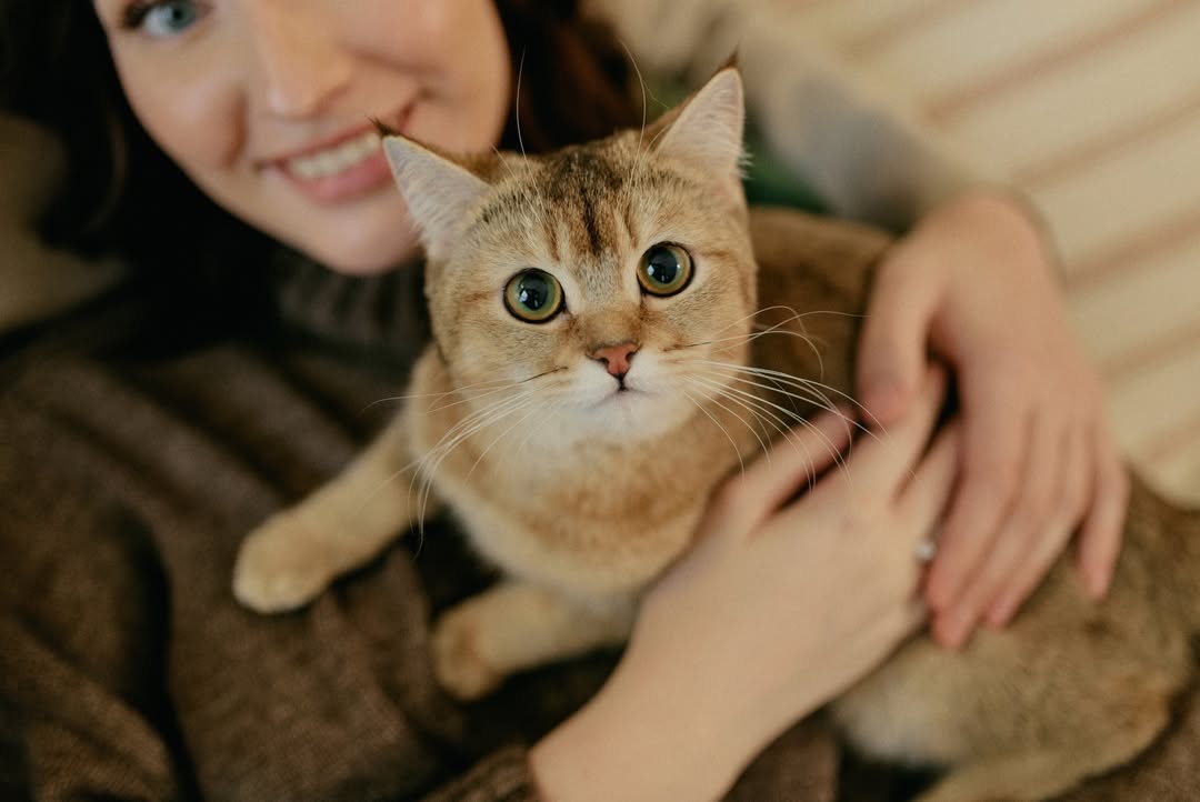 На протяжении минувших 12 месяцев 2025-го владимирские блогеры и фотографы создавали свой контент, вдохновляясь трендами Pinterest. Об этом инфлюенсеры 33-го региона поведали «Ключ-Медиа» в нашей подборке воплощенных модных тенденций по версии социальной сети для эстетов.