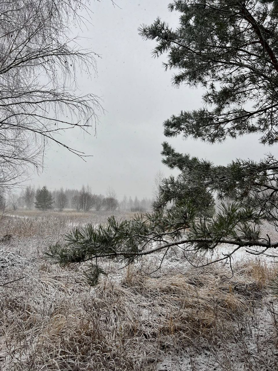 На протяжении минувших 12 месяцев 2025-го владимирские блогеры и фотографы создавали свой контент, вдохновляясь трендами Pinterest. Об этом инфлюенсеры 33-го региона поведали «Ключ-Медиа» в нашей подборке воплощенных модных тенденций по версии социальной сети для эстетов.