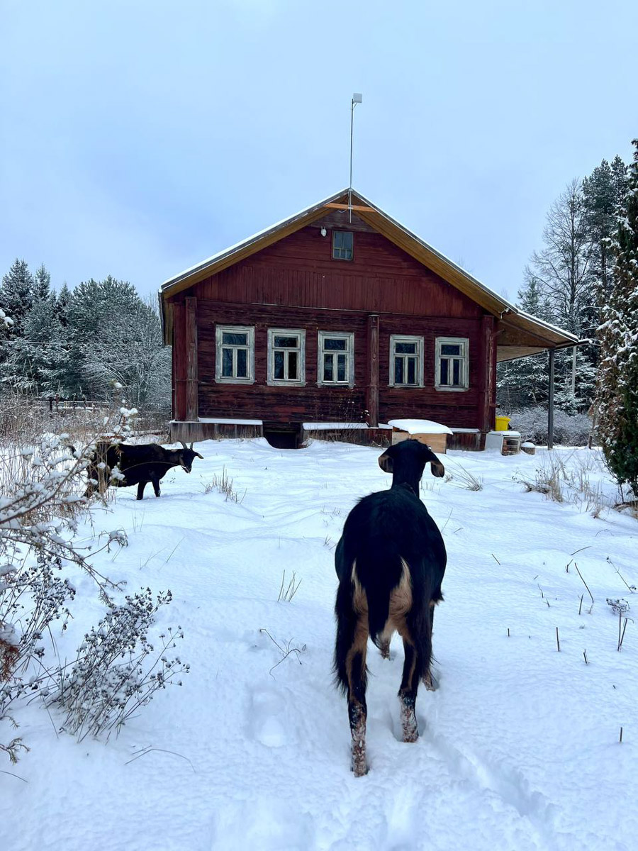 На протяжении минувших 12 месяцев 2025-го владимирские блогеры и фотографы создавали свой контент, вдохновляясь трендами Pinterest. Об этом инфлюенсеры 33-го региона поведали «Ключ-Медиа» в нашей подборке воплощенных модных тенденций по версии социальной сети для эстетов.