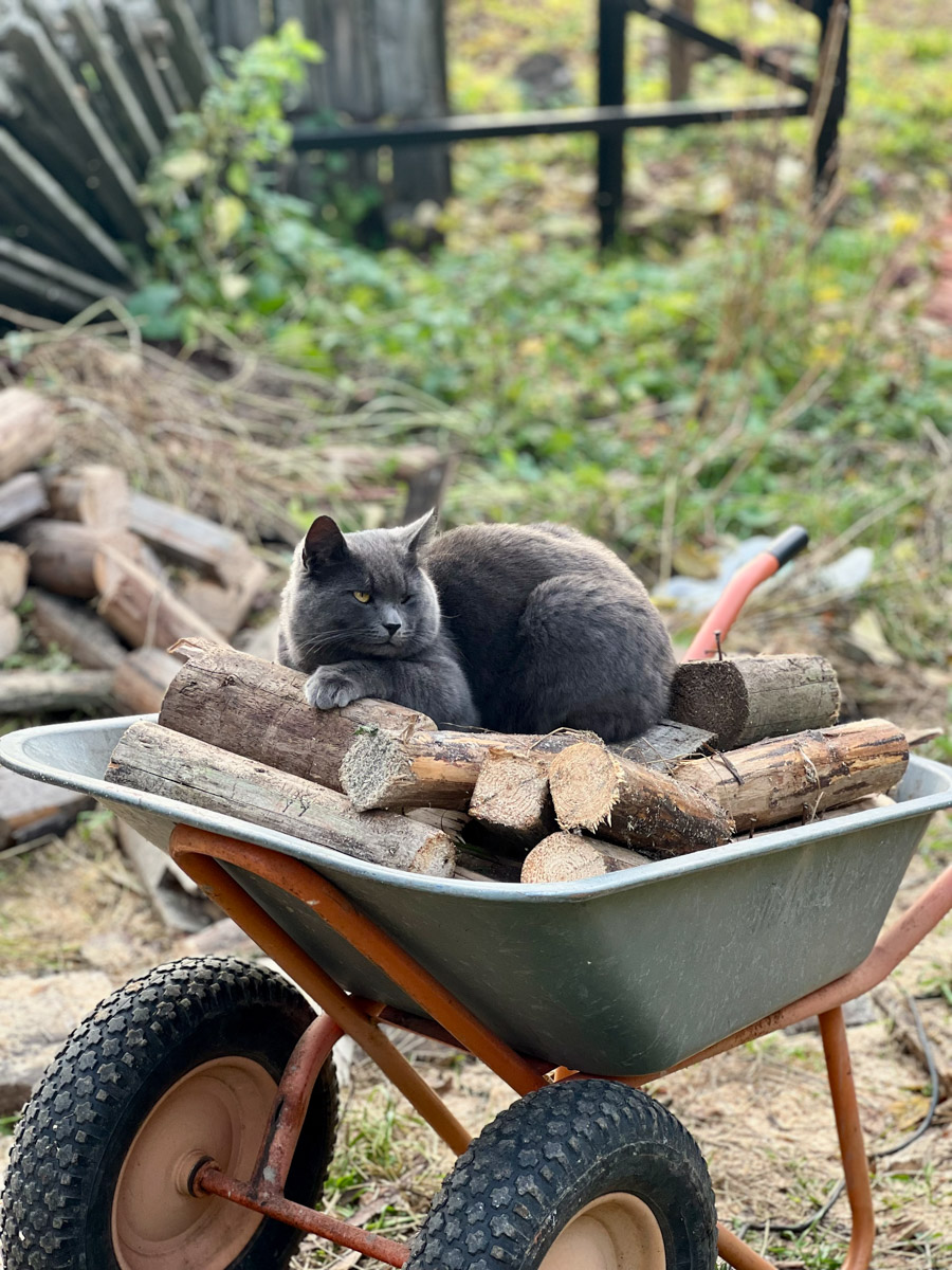 На протяжении минувших 12 месяцев 2025-го владимирские блогеры и фотографы создавали свой контент, вдохновляясь трендами Pinterest. Об этом инфлюенсеры 33-го региона поведали «Ключ-Медиа» в нашей подборке воплощенных модных тенденций по версии социальной сети для эстетов.