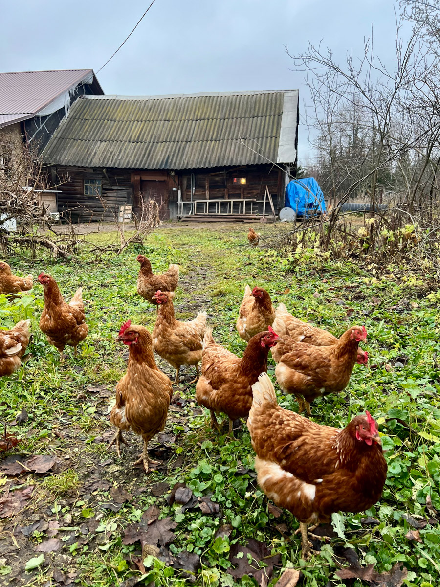 На протяжении минувших 12 месяцев 2025-го владимирские блогеры и фотографы создавали свой контент, вдохновляясь трендами Pinterest. Об этом инфлюенсеры 33-го региона поведали «Ключ-Медиа» в нашей подборке воплощенных модных тенденций по версии социальной сети для эстетов.