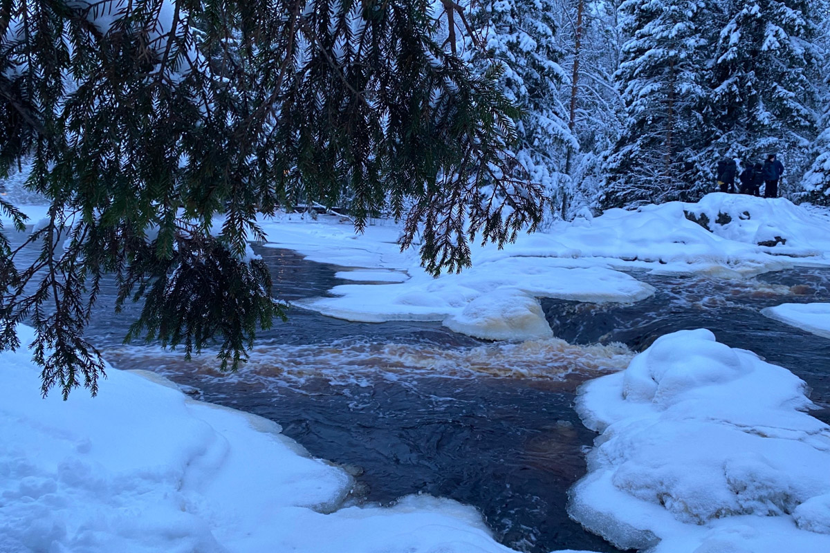 Заснеженный лес, бурлящие водопады цвета колы, калитки с ягодами, живописный мраморный каньон горного парка «Рускеала», белая Ладога и студеная Онега. Все эти чудеса щедро дарит сказочная Карелия, куда из Владимира вполне можно сгонять на пару дней.