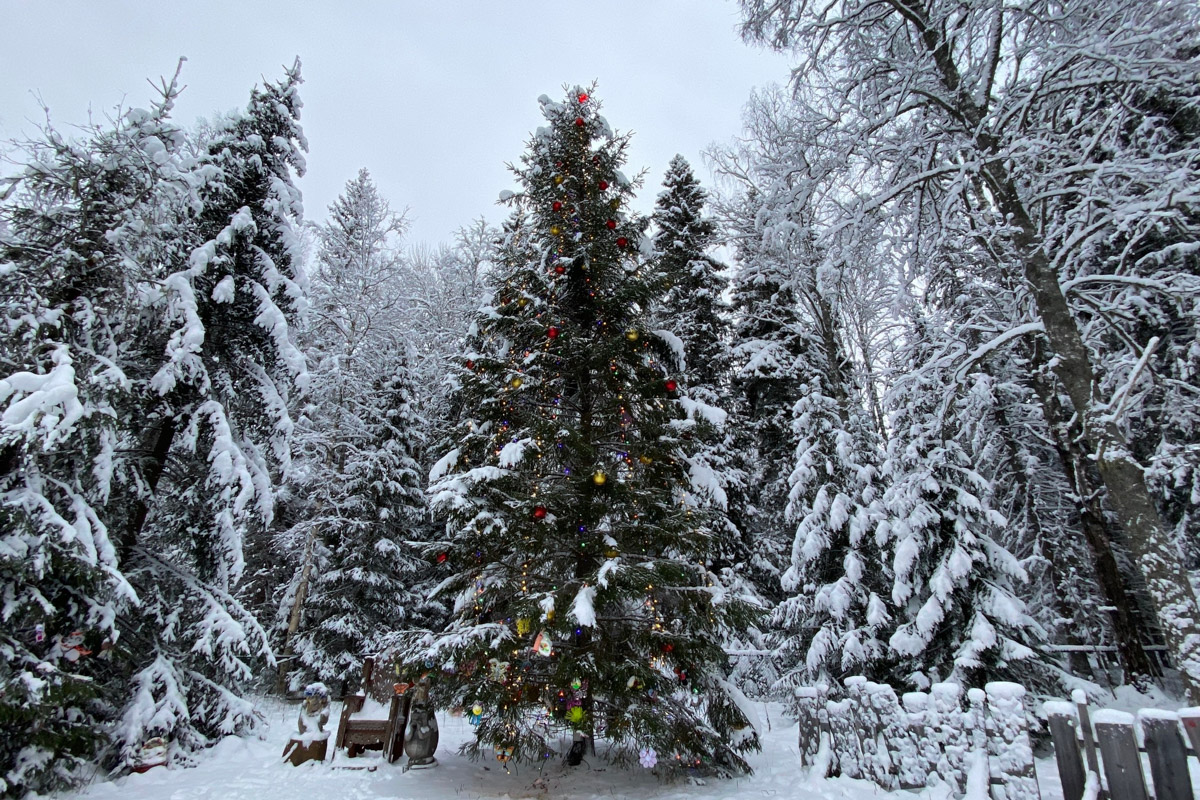 Заснеженный лес, бурлящие водопады цвета колы, калитки с ягодами, живописный мраморный каньон горного парка «Рускеала», белая Ладога и студеная Онега. Все эти чудеса щедро дарит сказочная Карелия, куда из Владимира вполне можно сгонять на пару дней.